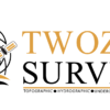 Twozan Surveys